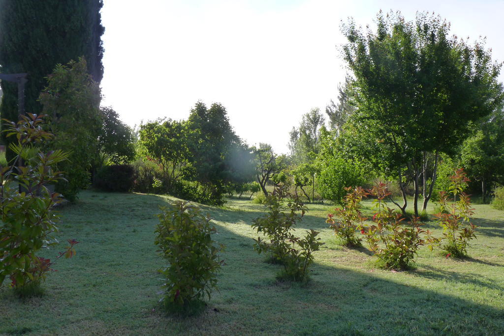 Au Mas Saint Pierre Hotel Pignans Exterior photo